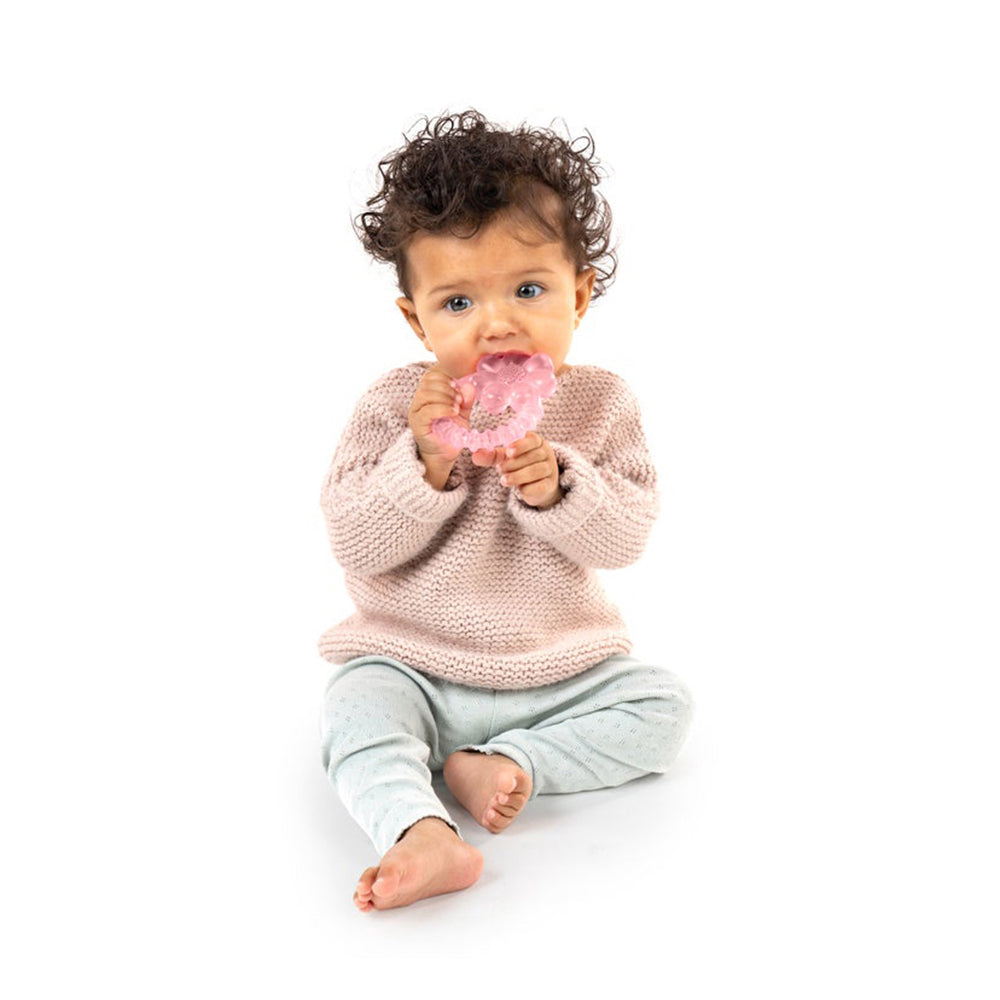 Ingenuity Cool Bite Water Teether 3M+