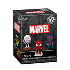 Funko Pop! Mystery Minis Single Box