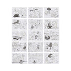 Maped Magic Paper with Effects to Color 15 sheets