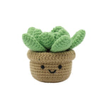 Playpop Crochet DIY Set Succulent
