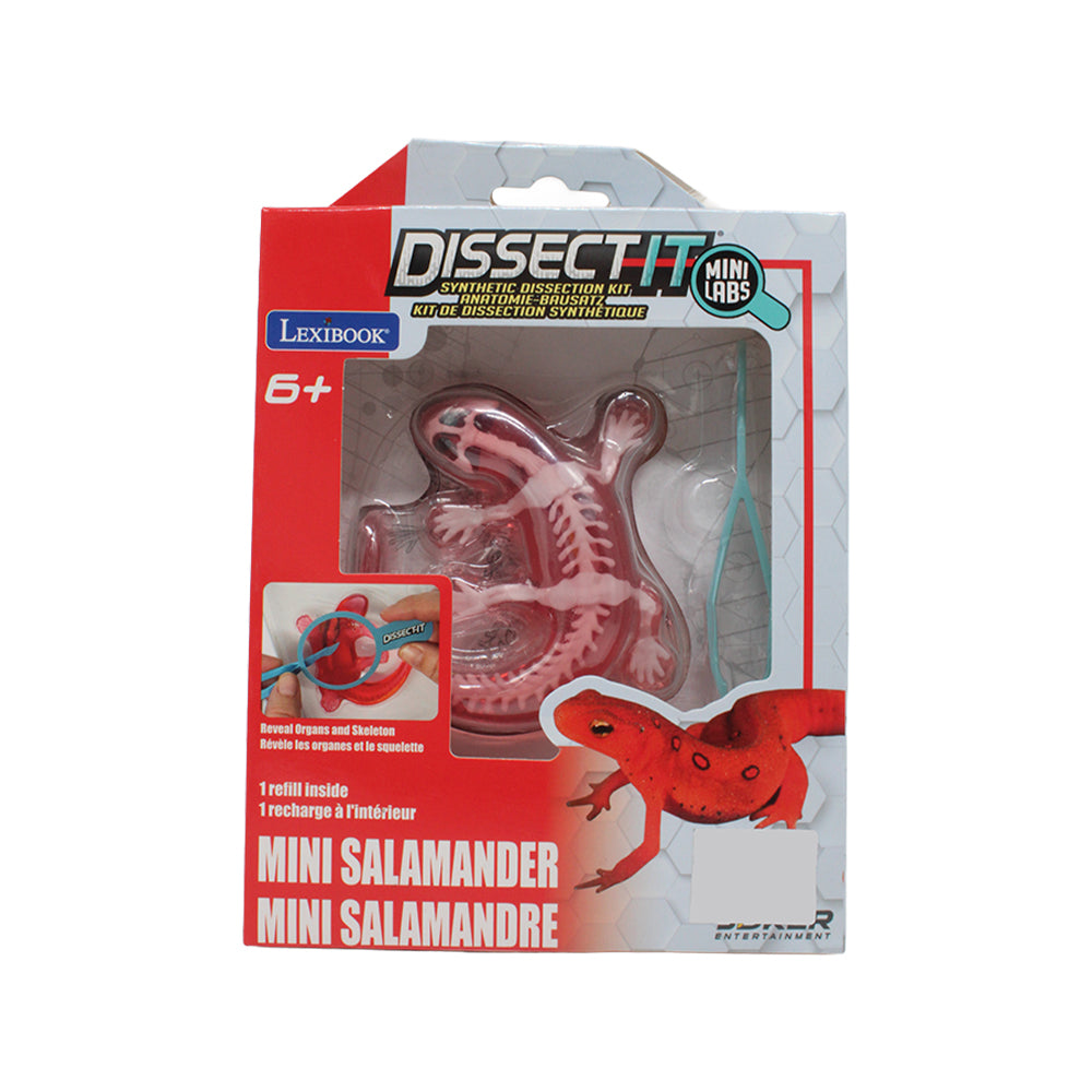 Lexibook Dissect It Synthetic Mini Dissection Kit