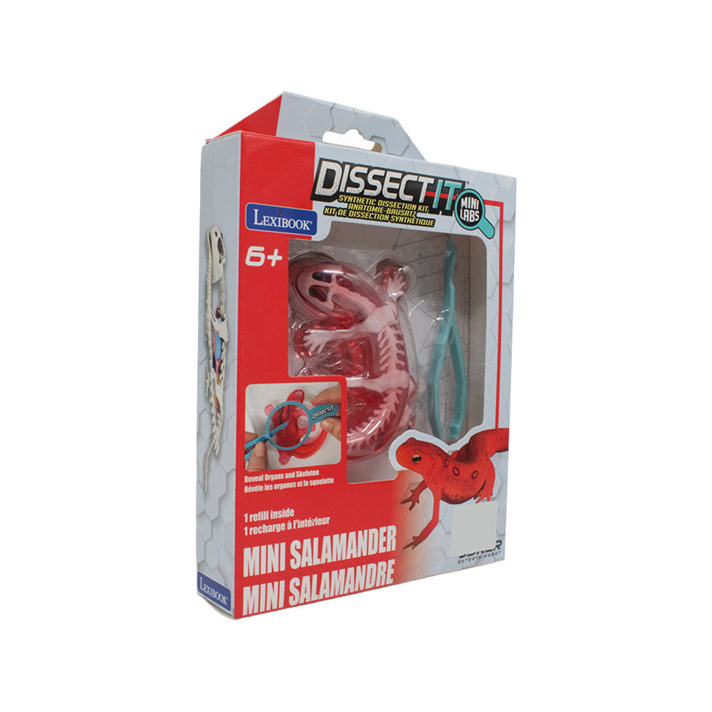 Lexibook Dissect It Synthetic Mini Dissection Kit