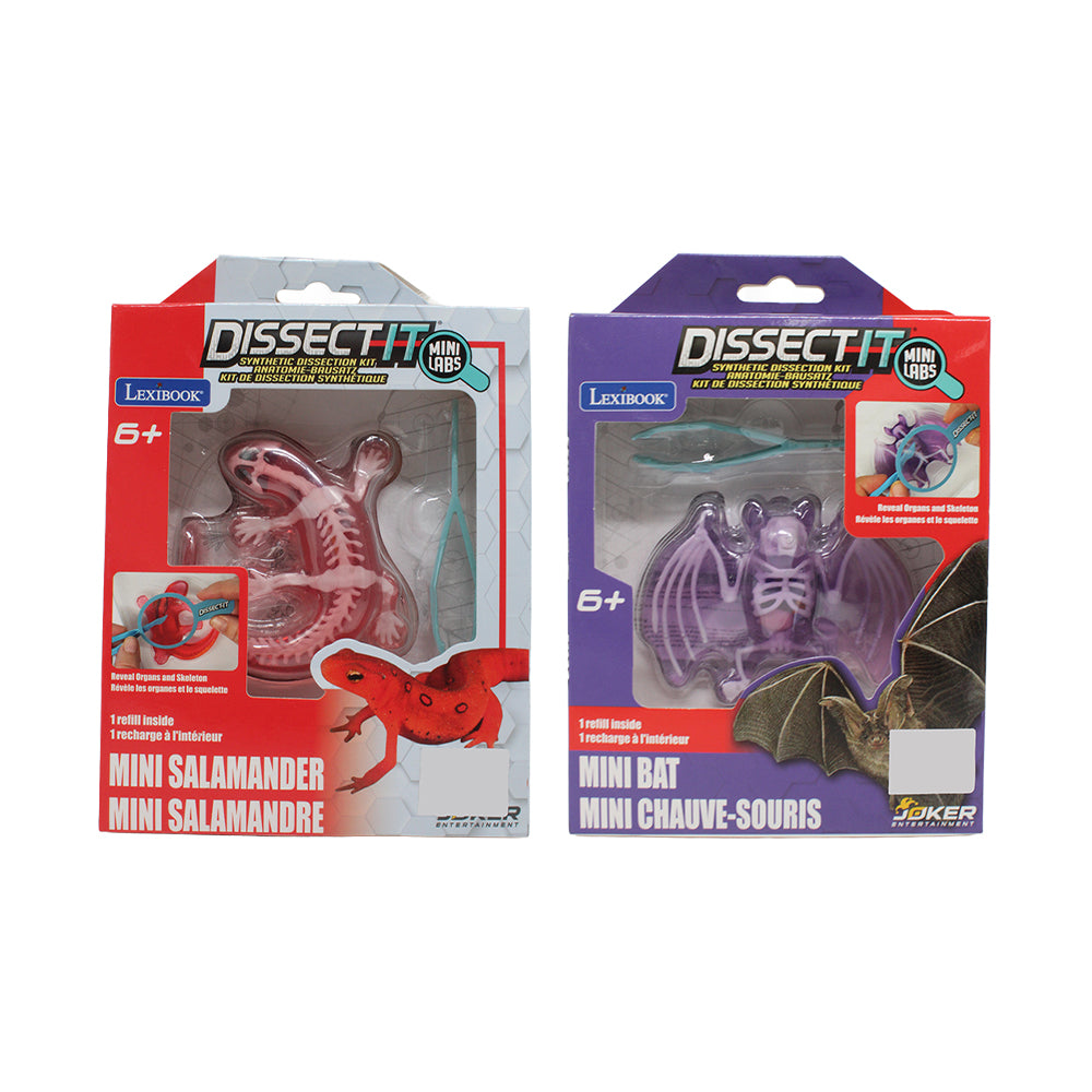 Lexibook Dissect It Synthetic Mini Dissection Kit