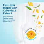 HOPPI AirDream Diapers Pants - Large (9 to 14 kg) 38 Pieces